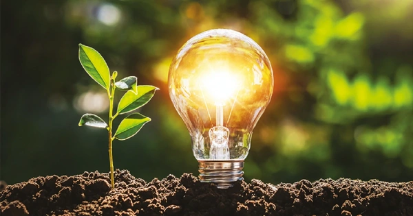 Glowing lightbulb planted in soil with a small plant, symbolizing clean energy and sustainability.