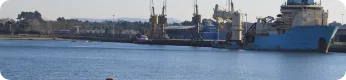 Imagem de Viana do Castelo Marina